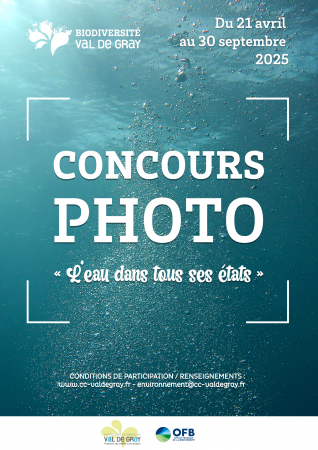 Affiche concours photo