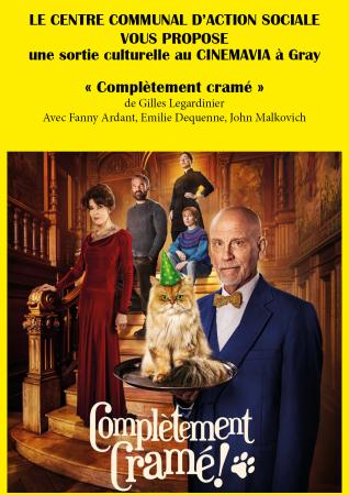 Affiche cinéma avec fanny ardant